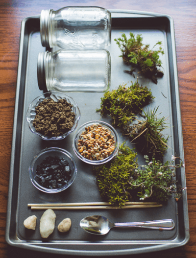 what you need for Succulent Terrarium