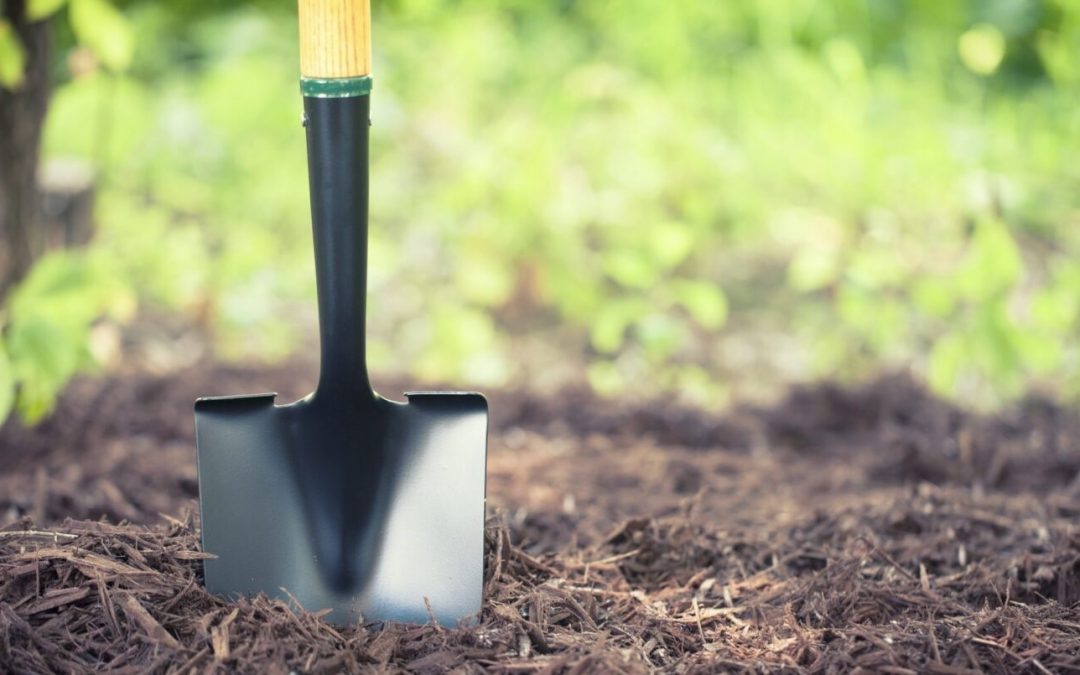 A Buyer’s Guide to Trenching Shovel: Full Checklist Included
