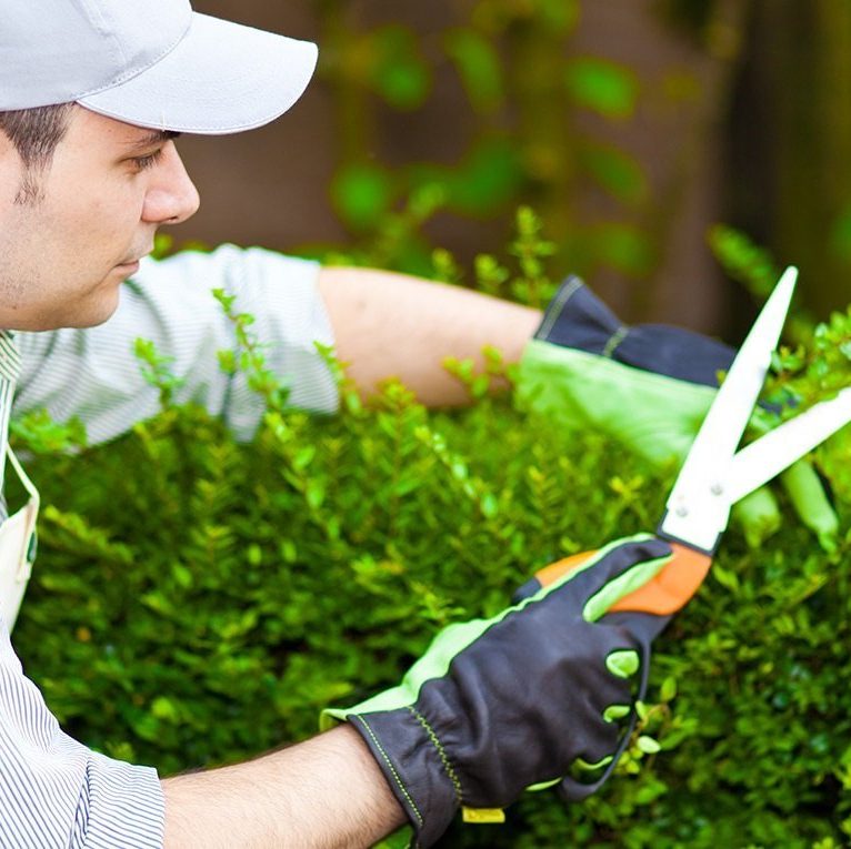 gloves as gardening workwear for men
