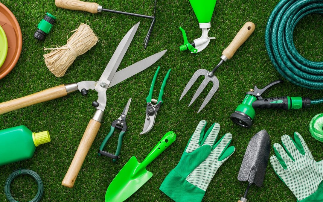 The Best Gardening Tools in 2024: An Ultimate Guide & Checklist