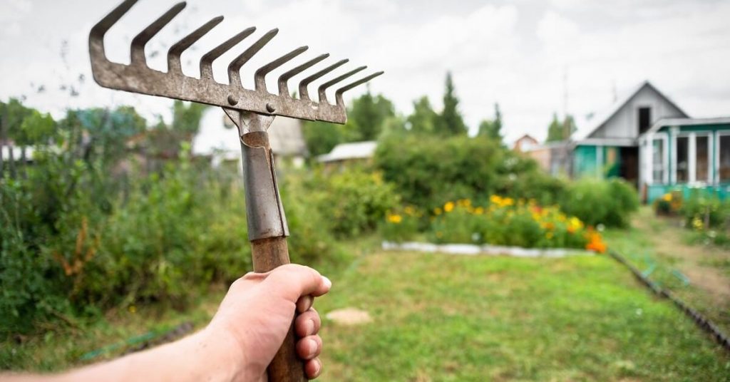 classic garden rake