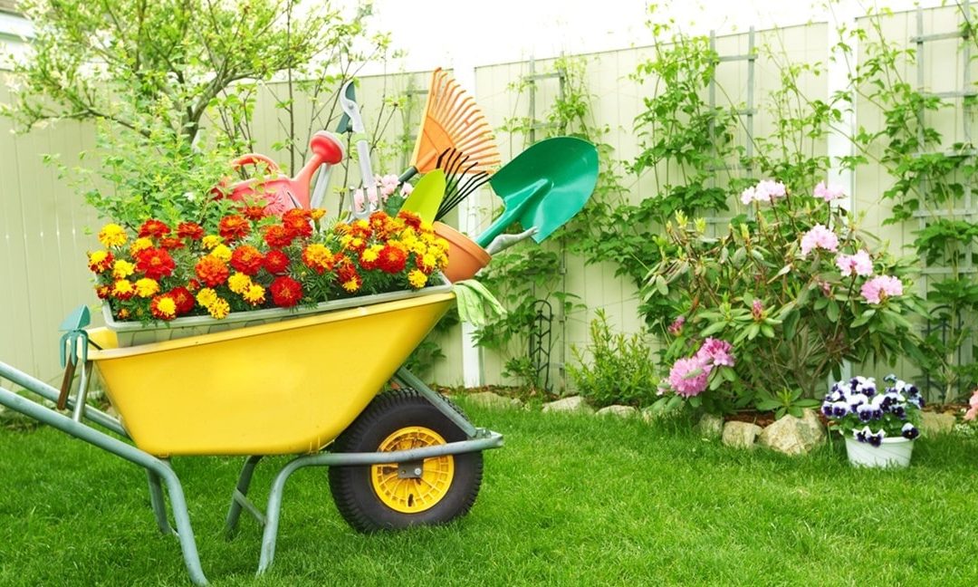 Avoid These 10 Mistakes to Preserve Your Low-Maintenance Garden