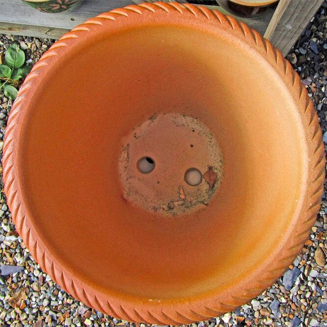 How to drill drainage holes in succulent pots