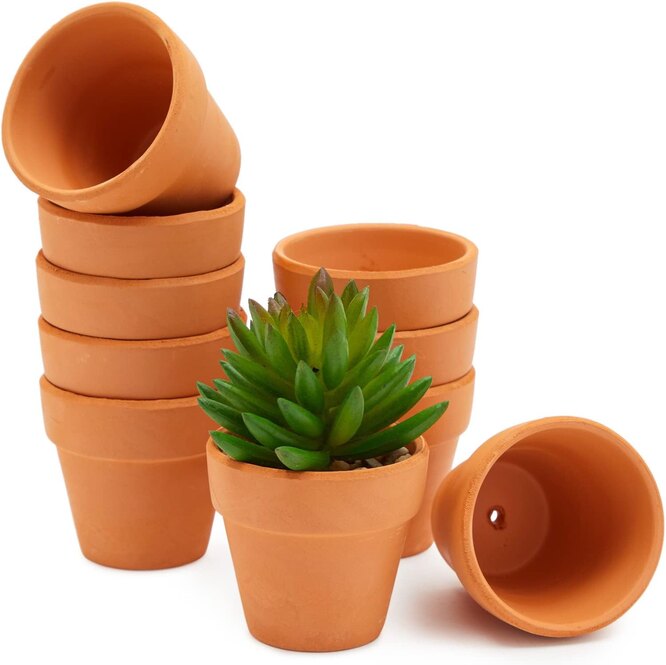 succulent pots Drainage 