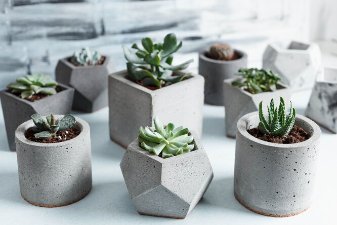 Concrete succulent pots