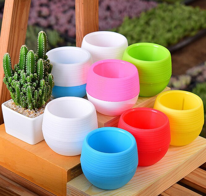 Plastic succulent pots