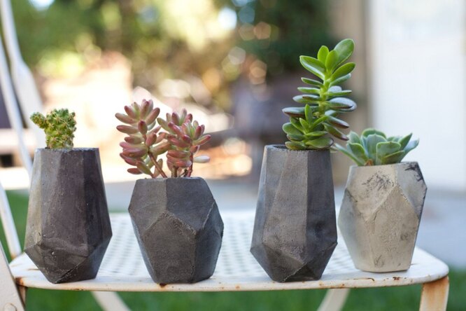 succulent pots size