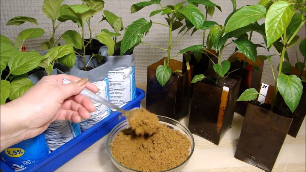 Organic bone meal fertilizer for indoor plants
